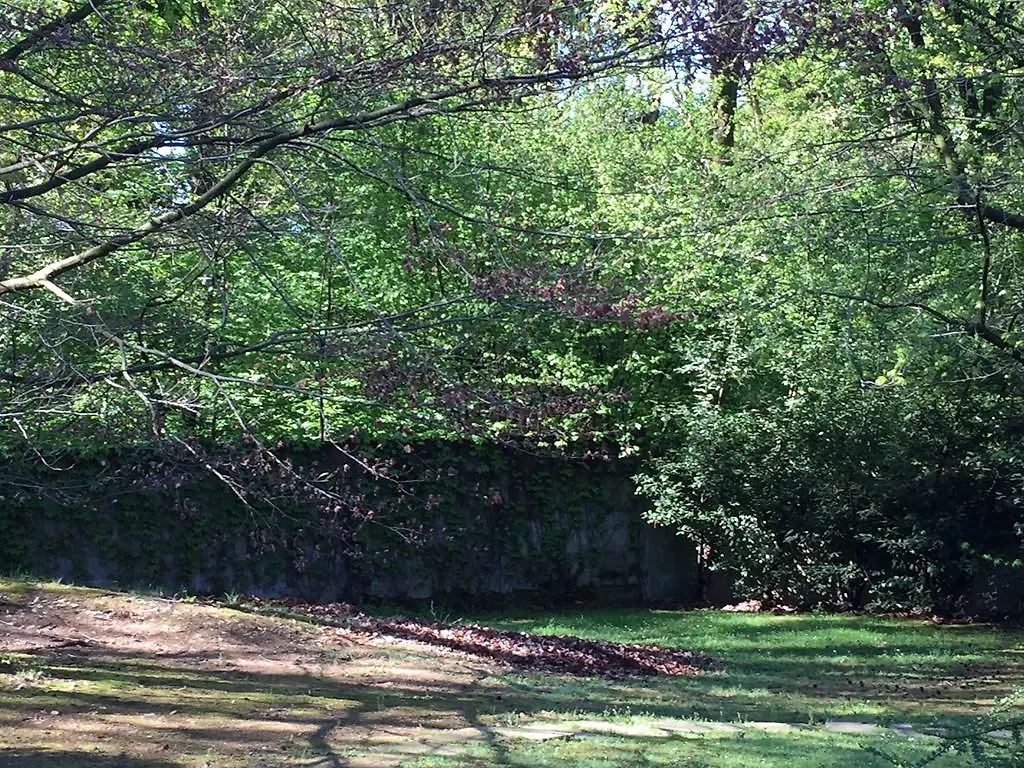 Bed&Garden Bed & Breakfast Cesate