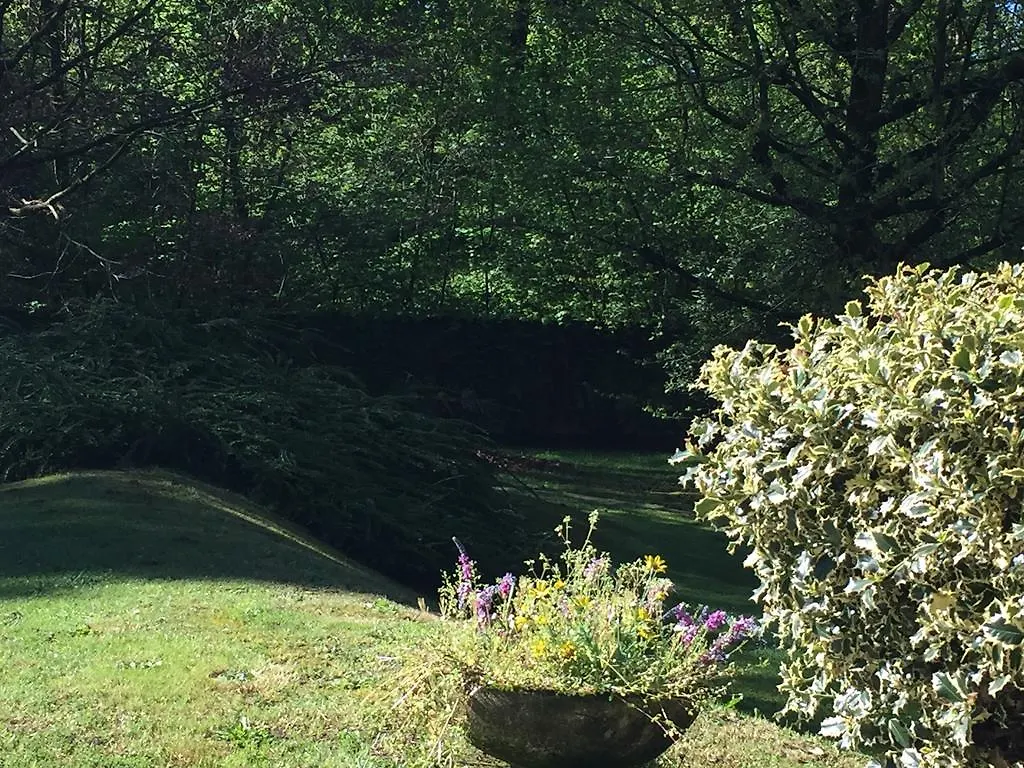 Bed&Garden Bed & Breakfast Cesate 0*,  Italy